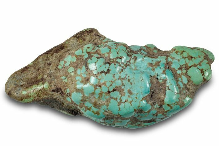 Polished Turquoise Specimen - Number Mine, Carlin, NV #260496